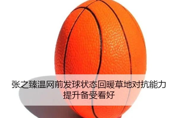 张之臻温网前发球状态回暖草地对抗能力提升备受看好